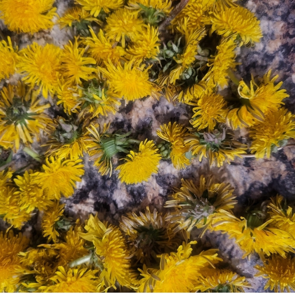 The Serum Lavender With Dandelion Infusion Luxury Age Defying Hydration - Picture 12 of 12